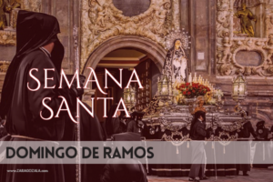 semana santa de zaragoza domingo de ramos